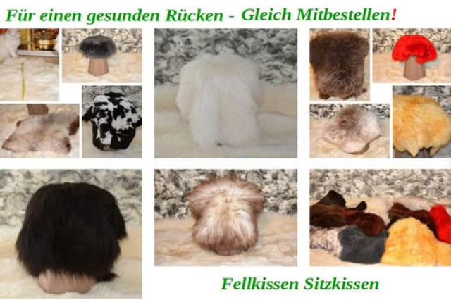 Fellkissen Lammfell Sitzkissen Unterlage Weiß Kurzhaar